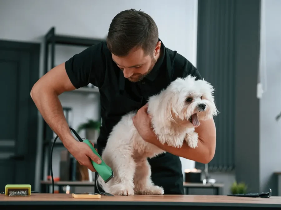 600-Hour Advanced Professional Pet Groomer Program